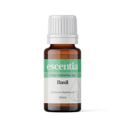 Basil - Raw Allure  