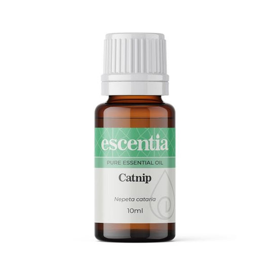 Catnip - Raw Allure  