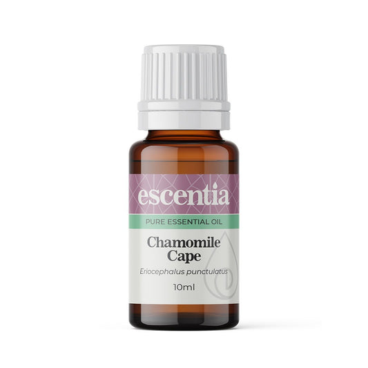 Cape Chamomile - Raw Allure  